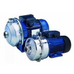 Stainless Steel/ Cast Iron Pumps